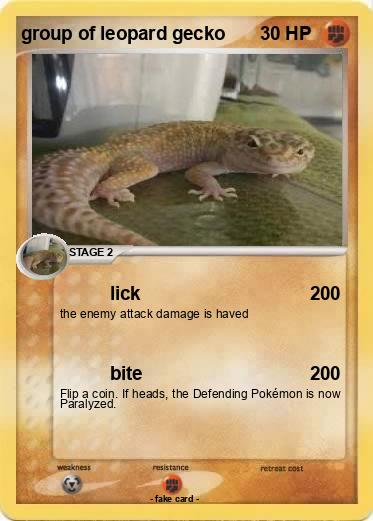Pokemon group of leopard gecko