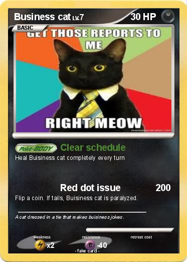 Pokemon Business cat