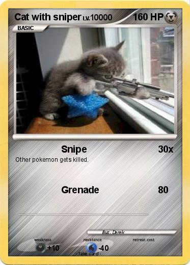 Pokemon Cat with sniper
