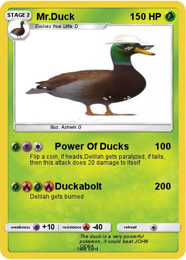Pokemon Mr.Duck