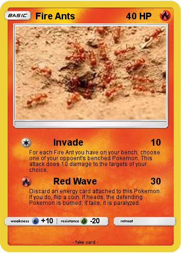 Pokemon Fire Ants