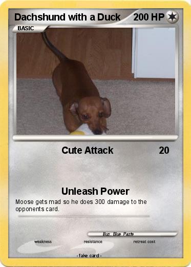 Pokemon Dachshund with a Duck