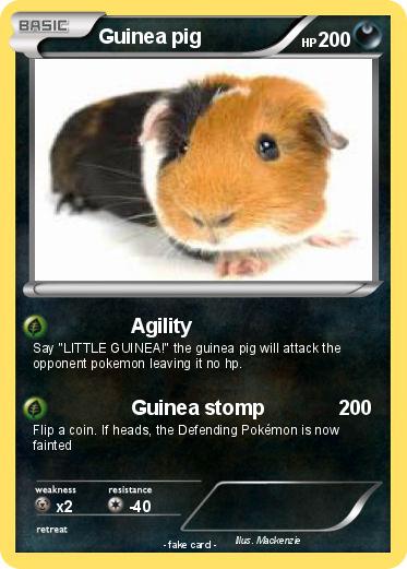 Pokemon Guinea pig