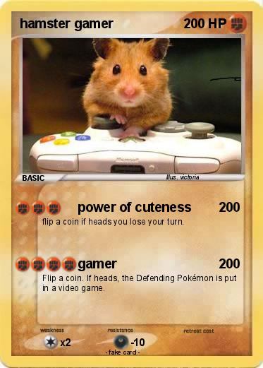 Pokemon hamster gamer