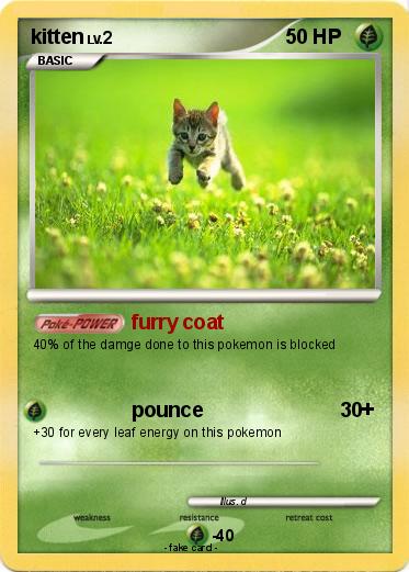 Pokemon kitten