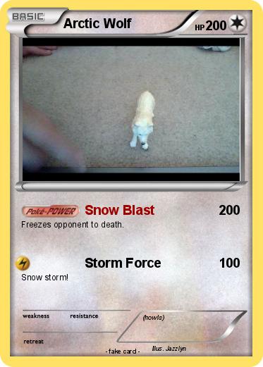 Pokemon Arctic Wolf