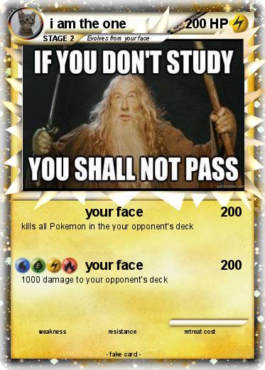 Pokemon i am the one
