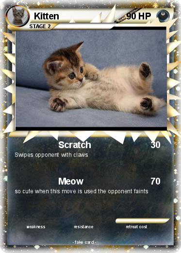 Pokemon Kitten