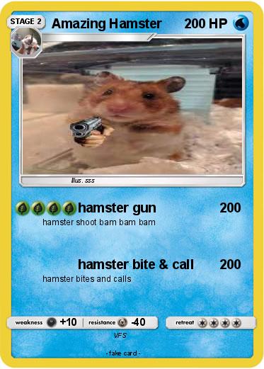 Pokemon Amazing Hamster