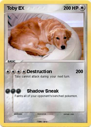 Pokemon Toby EX