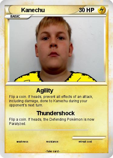 Pokemon Kanechu