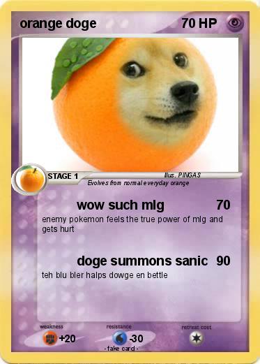 Pokemon orange doge