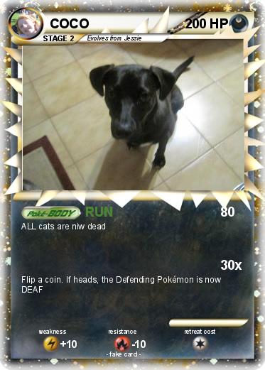 Pokemon COCO
