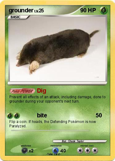 Pokemon grounder