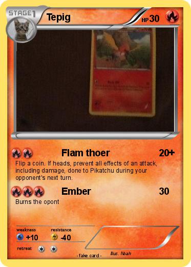 Pokemon Tepig