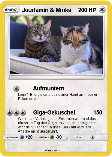 Pokemon Jourlamin & Minka