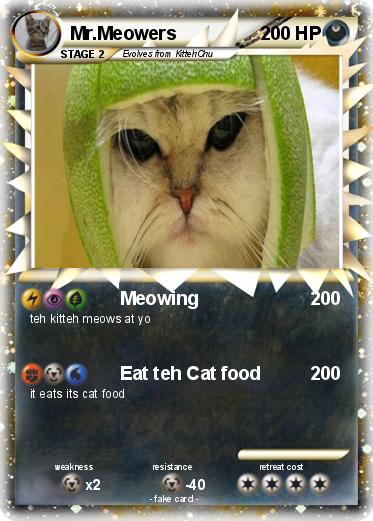 Pokemon Mr.Meowers