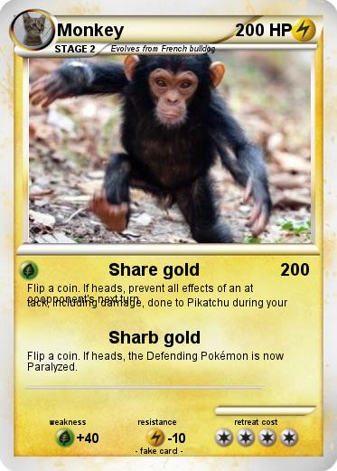 Pokemon Monkey