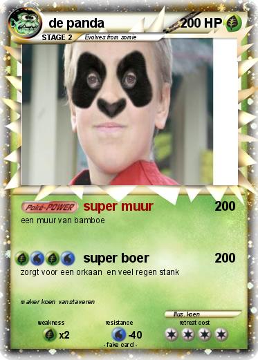 Pokemon de panda