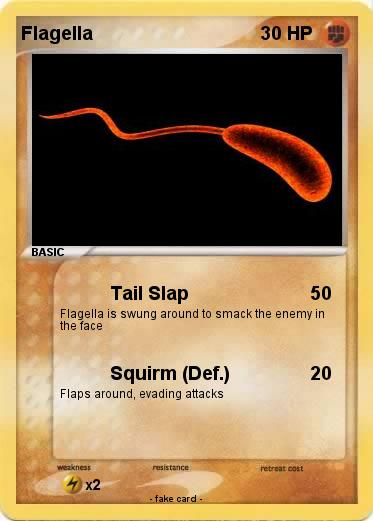Pokemon Flagella