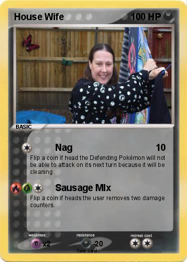 Pokemon House Wife