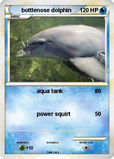 Pokemon bottlenose dolphin