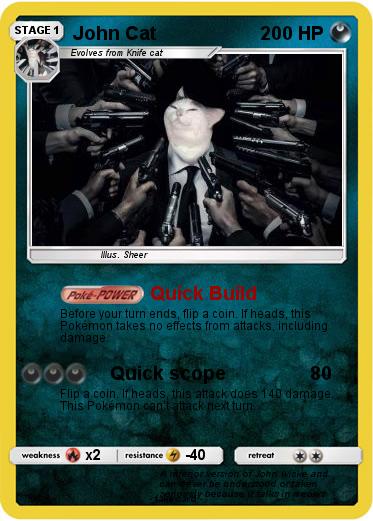 Pokemon John Cat