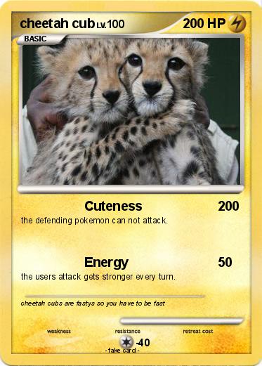 Pokemon cheetah cub
