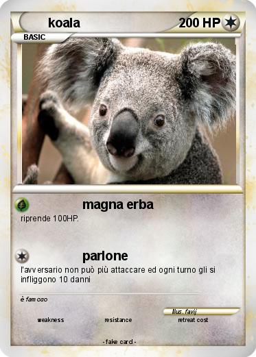 Pokemon koala