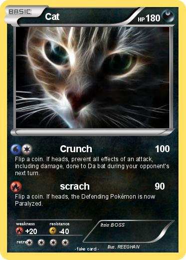 Pokemon Cat