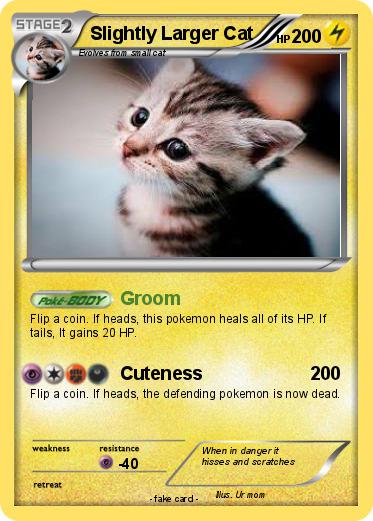 Pokemon Slightly Larger Cat