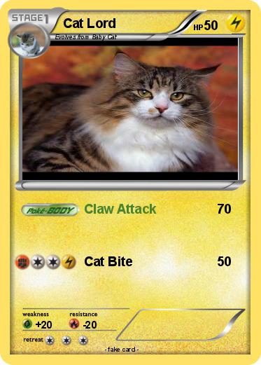 Pokemon Cat Lord