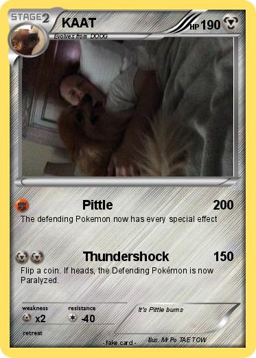 Pokemon KAAT