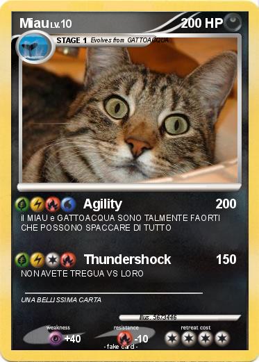 Pokemon Miau