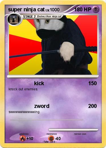 Pokemon super ninja cat