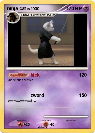 Pokemon ninja cat