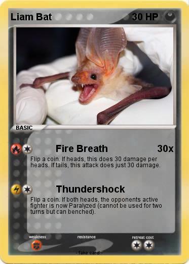 Pokemon Liam Bat