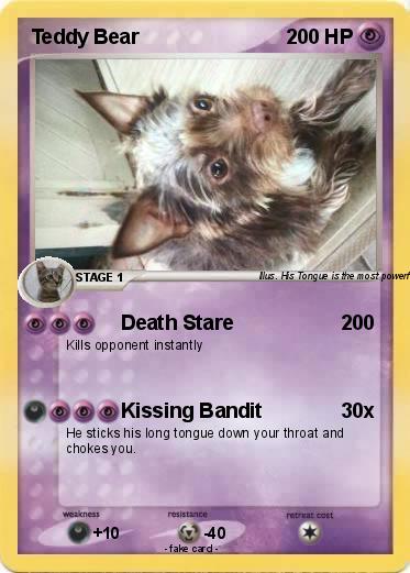 Pokemon Teddy Bear