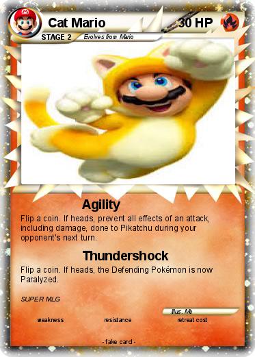 Pokemon Cat Mario