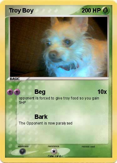 Pokemon Troy Boy