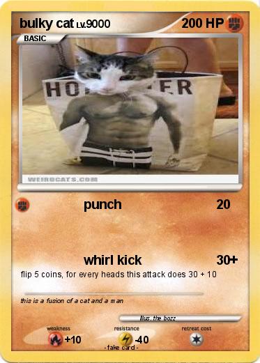 Pokemon bulky cat