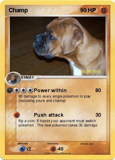 Pokemon Champ