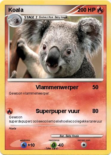 Pokemon Koala