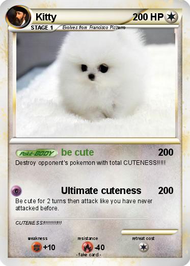 Pokemon Kitty