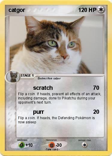 Pokemon catgor