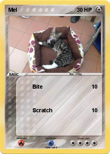 Pokemon Mel
