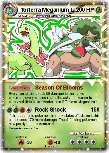 Pokemon Torterra Meganium L