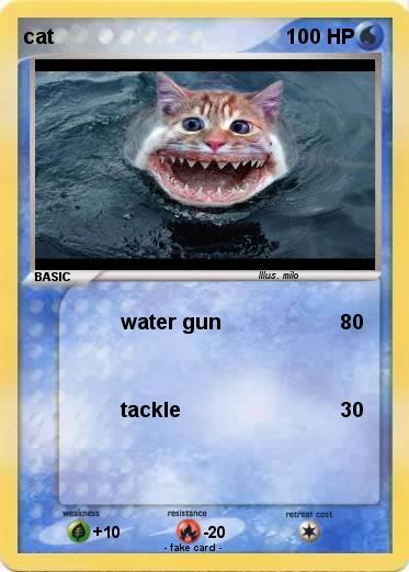 Pokemon cat