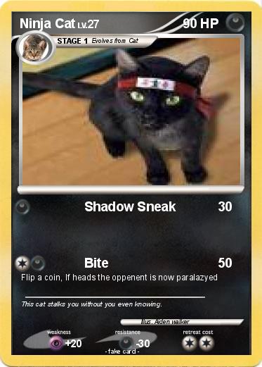 Pokemon Ninja Cat