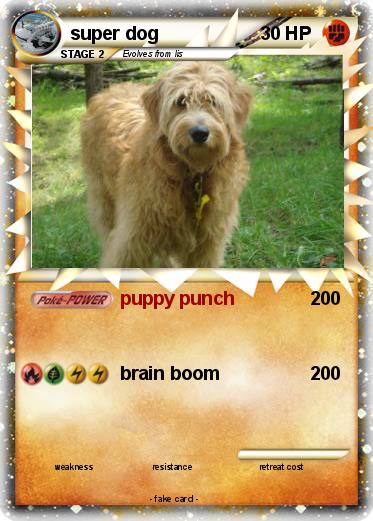 Pokemon super dog